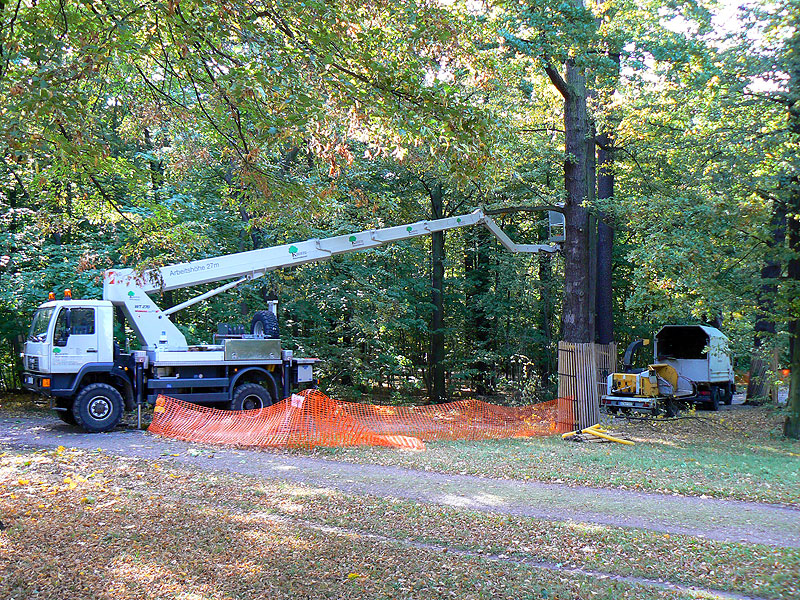 Hubsteiger Wumag WT 270 LKW-Arbeitsbühne